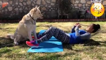 Lihat Saat Anjing Bantu Majikan Workout 