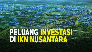 Peluang Investasi di IKN Nusantara
