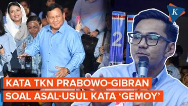 Penjelasan TKN Prabowo-Gibran soal Asal Mula Istilah Gemoy