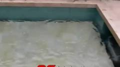 Luxury Swimming Pool - Moveable Floor Solution