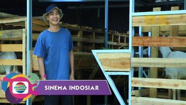 Sinema Indosiar - Anak Penggembala Domba Yang Bisa Membangun Masjid