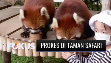 Taman Safari Indonesia Tetap Buka dengan Menerapkan Protokol Kesehatan, Seperti Apa Jadinya