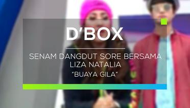 Senam Dangdut Sore bersama Liza Natalia - Buaya Gila (D'Box)
