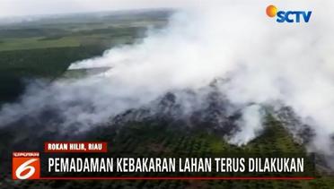 Kebakaran Hutan di Riau Semakin Meluas, Petugas Gencarkan Upaya Pemadaman - Liputan6 Terkini