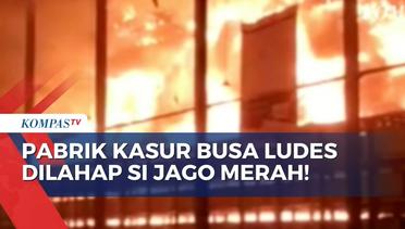 Kebakaran Melanda Pabrik Kasur Busa di Bogor, Diduga Akibat Korsleting pada Mesin Produksi!