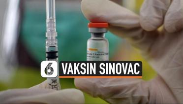 Vaksin Covid-19 Sinovac Dapat Izin Penggunaan Darurat WHO