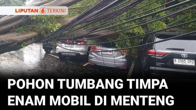 Enam Mobil Ringsek, Tertimpa Pohon Besar 10 Meter di Menteng, Jakarta Pusat | Liputan 6