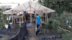 Pertanian Terpadu Ala Pesantren Rubat Mbalong di Cilacap