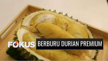 Yuk Berburu Durian Premium di Good Durian | Fokus