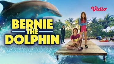 Bernie the Dolphin