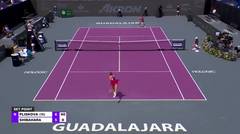 Karolina Pliskova vs Ena Shibahara - Highlights | WTA Guadalajara Open Akron 2023
