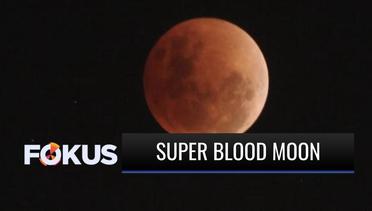 Mau Menyaksikan Fenomena Super Blood Moon Nanti Malam? Ini Syaratnya | Fokus