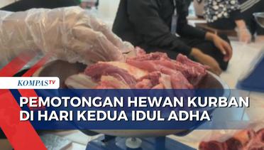 Hari Kedua Idul Adha, Penyembelihan Hewan Kurban di Masjid Al Akbar Surabaya Berlanjut
