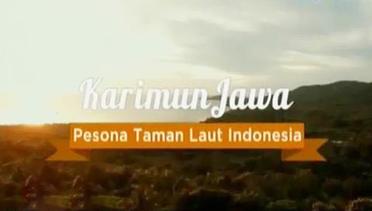 Destinasi: Karimun Jawa, Pesona Taman Laut Indonesia