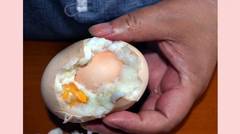 10 Hal yang kalian tidak ketahui tentang telur (telur ajaib)