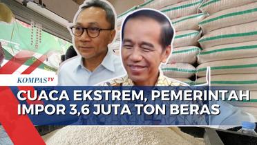 Pemerintah Impor 3,6 Juta Ton Beras, Sektor Pertanian Tanaman Pangan Turun 24,75 Persen