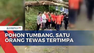 Seorang Pengendara Motor Tewas Tertimpa Pohon Tumbang di Lembang