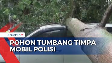 Tak Kuat Menahan Kencangnya Angin, Pohon Setinggi 8 Meter Tumbang Menimpa Mobil Polisi