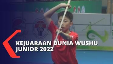 Presiden Jokowi Bakal Buka Kejuaraan Dunia Wushu Junior 2022 di ICE BSD Tangerang