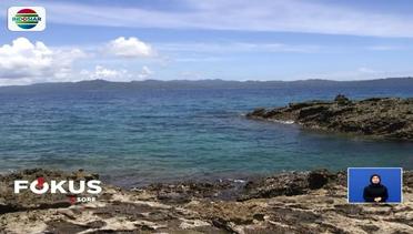 Kandungan 'Vitamin Sea' di Pantai Batu Kuda, Maluku Tengah - Fokus Sore