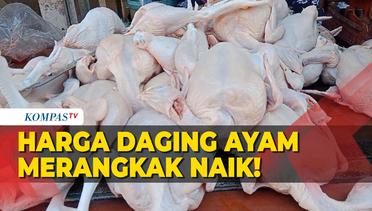 Tembus Angka Rp 40 Ribu per Kg, Harga Daging Ayam Naik di Sejumlah Daerah