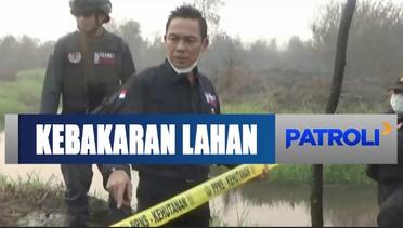 Kementerian LHK Segel Perusahaan Sawit yang Membakar Lahan Konsesi di Kalimantan - Patroli