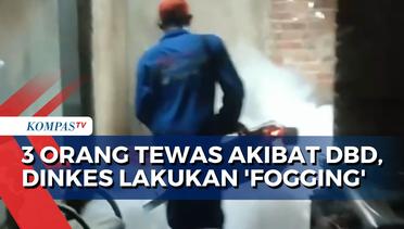 3 Orang di Cirebon Meninggal Akibat DBD, Dinas Kesehatan Lakukan  'Fogging' dengan Radius 200 Meter!