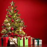Perayaan Natal