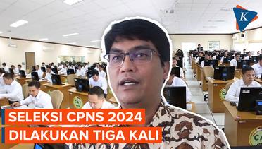 BKN: Seleksi CPNS 2024 Dilakukan Sebanyak 3 Kali