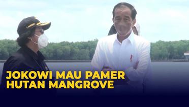 Jokowi Tinjau Hutan Mangrove di Bali: Kita Serius Hadapi Perubahan Iklim