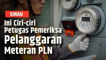PLN Jelaskan Ciri-ciri Petugas P2TL, yang Mengecek Kekeliruan di Meteran Pelanggan | SINAU
