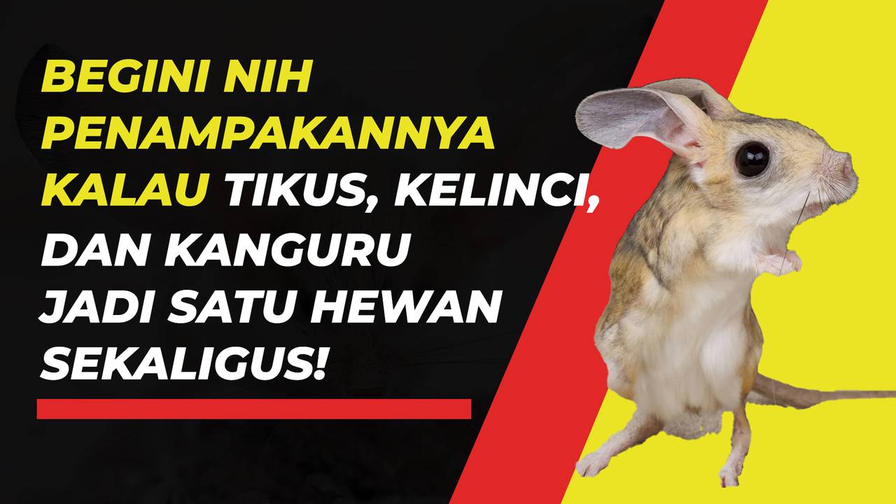 Agouti: Si Tikus Raksasa dari Amerika Selatan