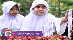 Sinema Indosiar - Kesabaran Anak Penjual Peyek