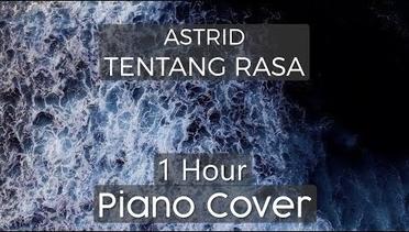Astrid - Tentang Rasa ( 1 HOUR PIANO COVER )