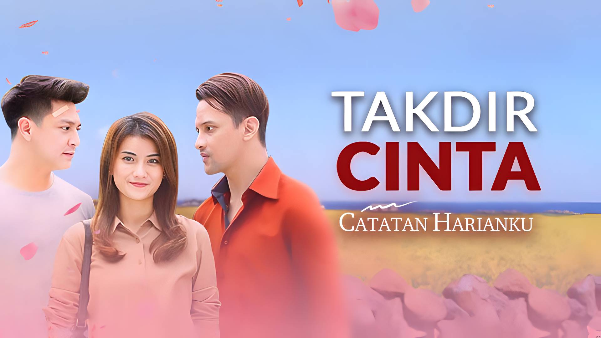 Takdir Cinta - Catatan Harianku