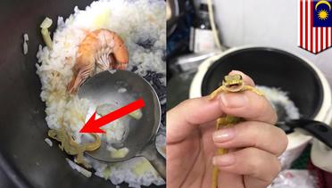 Cicak masuk ke dalam bubur seafood gadis Malaysia dan fotonya diunggah ke Facebook - TomoNews