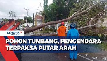 Pohon Tumbang, Pengendara Terpaksa Putar Arah