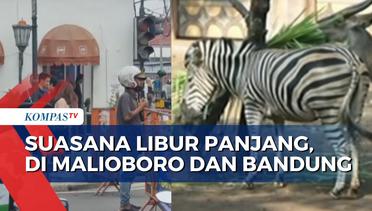 Kepadatan Pengunjung saat Libur Panjang di Malioboro dan Kebun Binatang Bandung