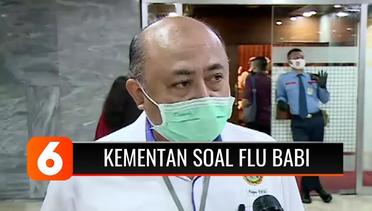 Bukan Hanya Corona, Flu Babi dari Cina juga Diprediksi Bakal Jadi Pandemi Baru