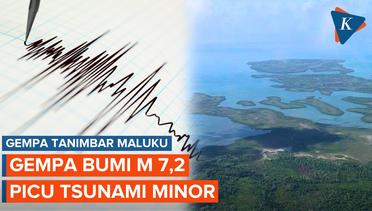 Gempa Magnitudo 7,2 Guncang Tanimbar, Maluku