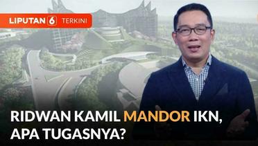 Ridwan Kamil Mandor Ibu Kota Nusantara, Ini Tugas dari Presiden Jokowi | Liputan 6
