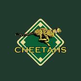 Jakarta Cheetahs After Hour