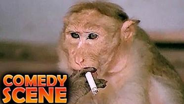 Aksi Seekor Monyet Melumpuhkan Penjahat | Scene Komedi Film Bollywood | Cuplikan Film Jawab Hum Denge | Jackie Shroff, Shatrughan Sinha, Sridevi | HD