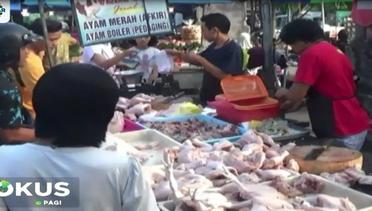 Mendag Ancam Distributor Jika Dalam Sepekan Harga Ayam Masih Tinggi - Fokus Pagi
