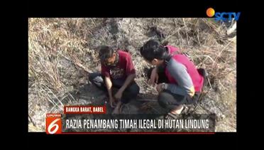 Razia Tambang Pasir Timah Ilegal di Bangka Belitung, Pekerja Kocar-kacir ke Hutan - Liputan6 Terkini