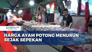 Harga Ayam Potong Menurun Sejak Sepekan di Makassar