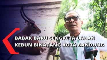 Pengelola Yayasan Kebun Binatang Kota Bandung Ajukan Banding