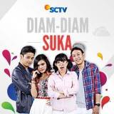 Diam - Diam Suka