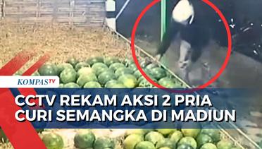 Detik-Detik CCTV Rekam Aksi 2 Pencuri Semangka di Madiun Jatim!