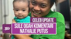 Janji Sule Tanggung Jawab ke Nathalie Holscher Biayai Putranya